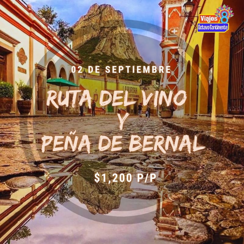 Excursion a La Ruta del Vino